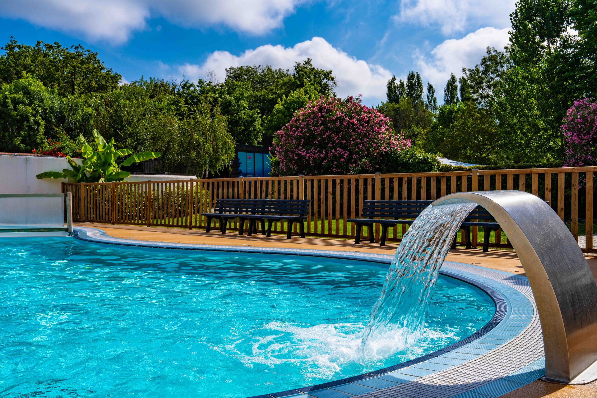 chat-du-camping-ile-oleron